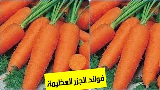 بعد اليوم ستتناول الجزر بشراهة #فوائد_الجزر_العظيمة