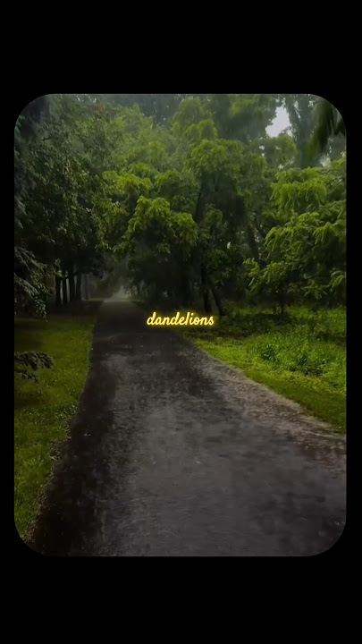 Dandelions (Lyrics) | Ruthb | HrxVibes #shorts #music #song #ruthb #dandelions #youtubeshorts #viral