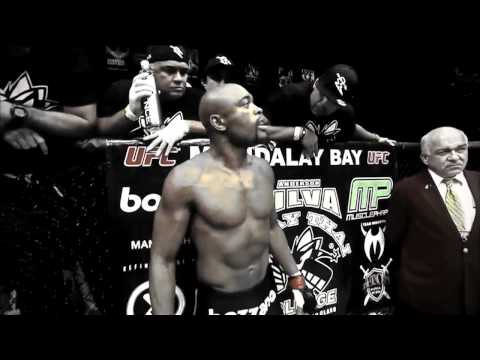 The Best Damn Anderson Silva Highlight