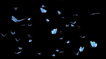 Butterfly Swarm - Blue Adonis - Pack of 2 - Far & Close