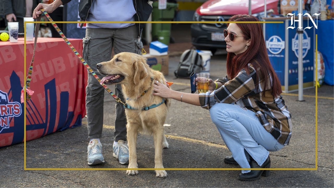 Paw-trons raise a glass to furry friends, nonprofits at Harpoon Brewery’s Dogtoberfest