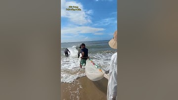 KÉO LƯỚI RÙNG trên biển Vũng Tàu, ngư dân kiếm 500kg cá cơm tươi ngon.