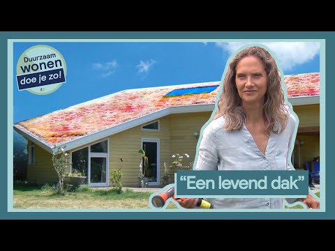 Video: Ruimtestof Werd Gevonden Op De Daken Van Huizen - Alternatieve Mening