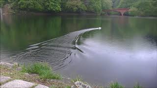 Powerboat Testing