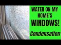 Why Does Condensation Form on My Home’s Windows?