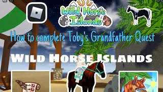 How to do finding Toby’s grandfather quest (wild horse islands) screenshot 1