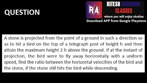 Stone hitting the bird || Question || Projectile Motion || Physics || Ritesh Agarwal || JEE || NEET