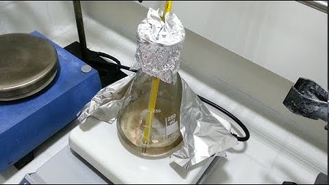 Synthesis of paracetamol (Acetaminophen)