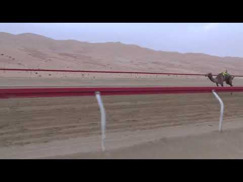 الشوط 6 الشاهينيه للسيد محمد سالم خلفان المنصوري توقيت 10 02 57