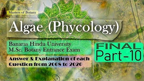 Algae: Part-10 (Final) | BHU M.Sc. Botany Entrance | Answer & Explanation [2008-2020 Questions]