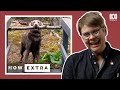 Why are dogs the perfect companion for humans  reaction  how extra love edition  abc science