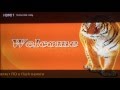 Видео обзор прошивка Tiger X80 HD 