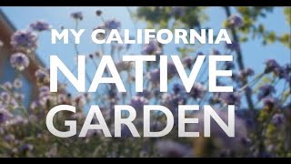 My California Native Garden | Rebate Program