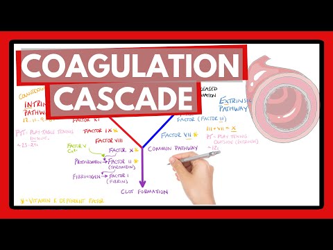 Coagulation Cascade - Easy Way To Remember Intrinsic Vs Extrinsic Pathways | Pt Or Ptt