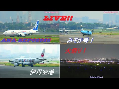 天草エアライン・みぞか号生中継!伊丹空港!! Plane Spotting Osaka Itami Airport 08/26/2025