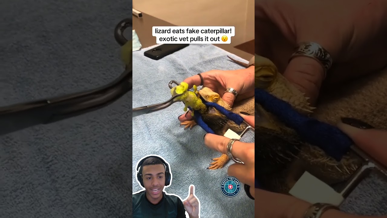 Como Isso ACONTECEU? 