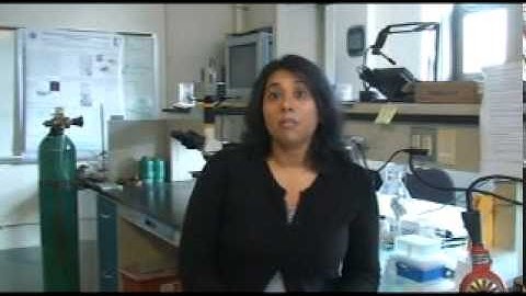 Compounds for PhotoDynamic Therapy  FINAL.mpg