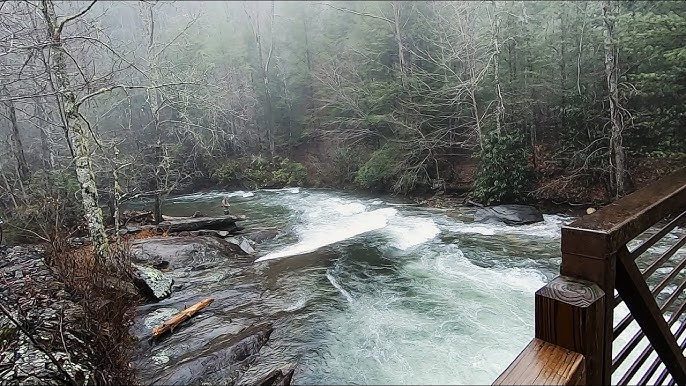 Winter Flyfishing in North Carolina at Fires Creek Delayed Harvest 