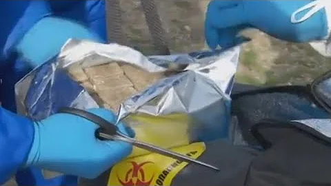 В Саратовской области началась иммунизация диких животных