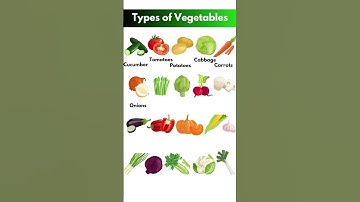 Types of Vegetables #viral #fyp #learnenglish