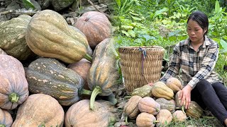 Download Lagu Ibu tunggal memanen labu untuk membalas budi nenek yang telah memberikan rumahnya kepada Ely MP3 Download Lagu Ibu tunggal memanen labu untuk membalas budi nenek yang telah memberikan rumahnya kepada Ely MP3