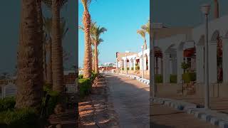 sharm el sheikh #shorts