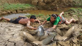 Top Video Fishing - Primitive Life Finding Fish in Mud Cracks Hole Catch Big Fish - Unique Fishing