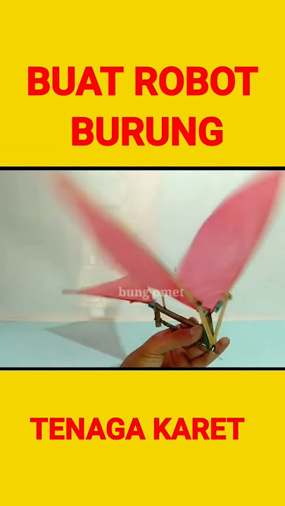 Buat Robot Burung Tenaga Karet #shorts