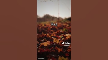 سورة #الفتح #قرآن قرا #اذكار #اكسبلور #تاج_الذكر