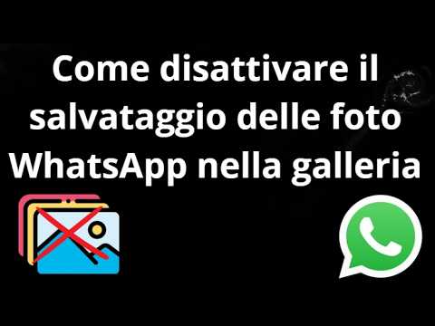 Video Come disattivare il salvataggio delle foto WhatsApp nella galleria – guida completa