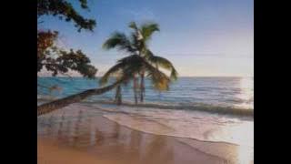 SHUTDOWN BAND of RABAUL-Solwara Katim-(1988).