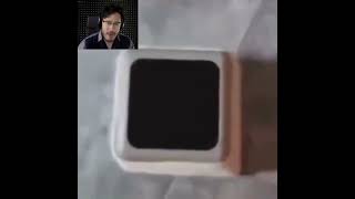 Markiplier Get's Jump Scared By A Cat