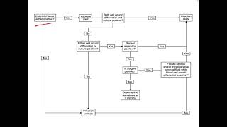 Diagnosis of infected TKR. #shorts