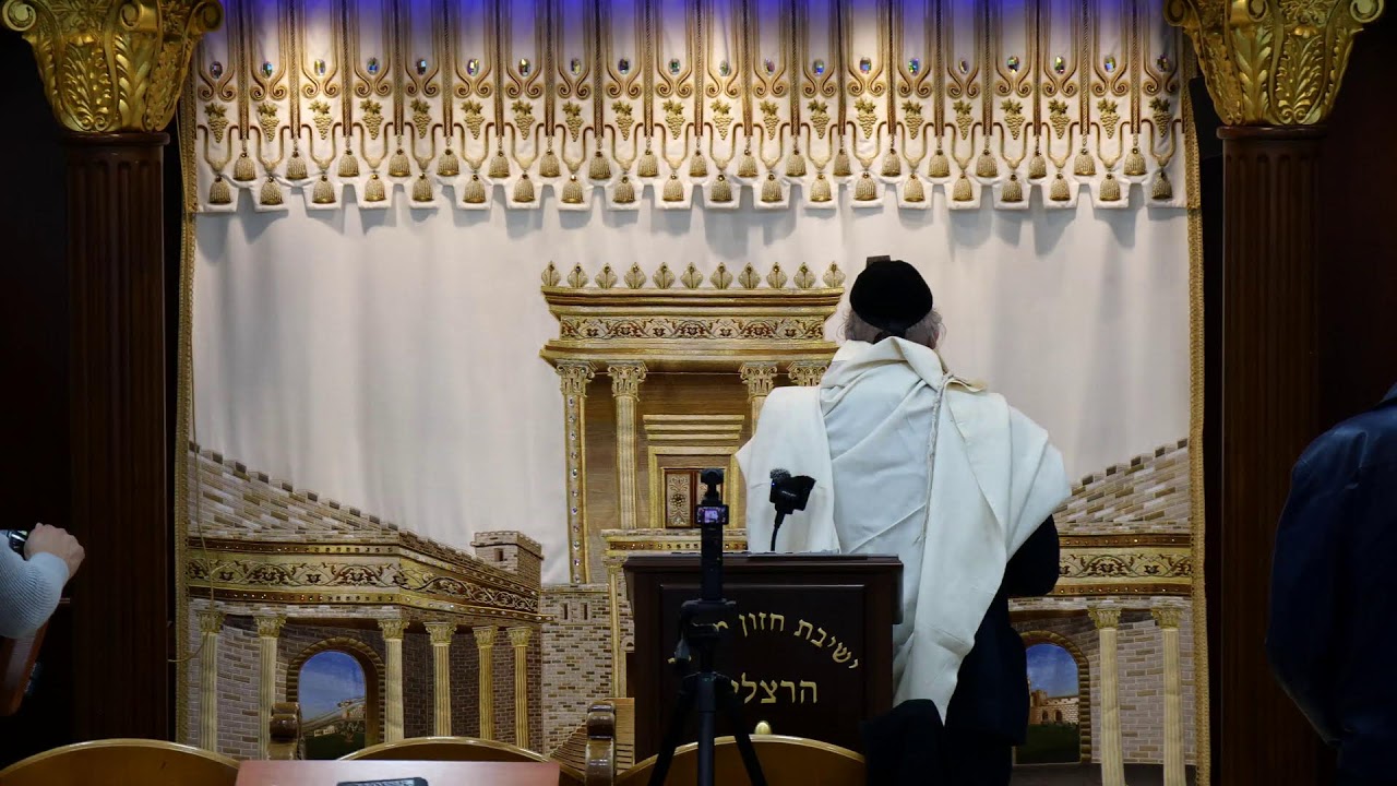 הרב מאיר דוד שמואלי שליט"א - שידור חי יום א - פרשת צו תשפ"ו
