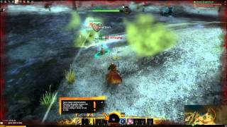 Guild Wars 2 Elementalist Level Up Element Branch
