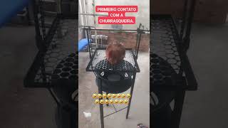 E A PREVISÃO ERA...