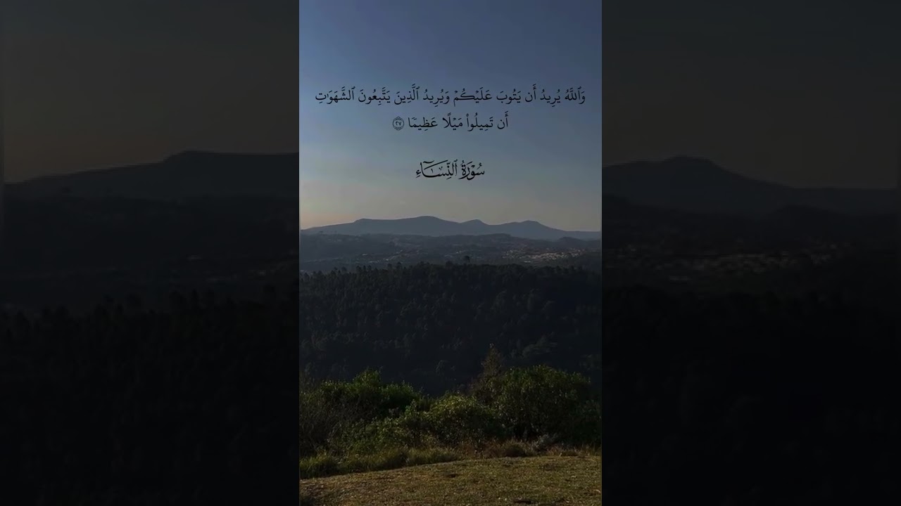 تلاوة هادئة جميلة من سورة النساء