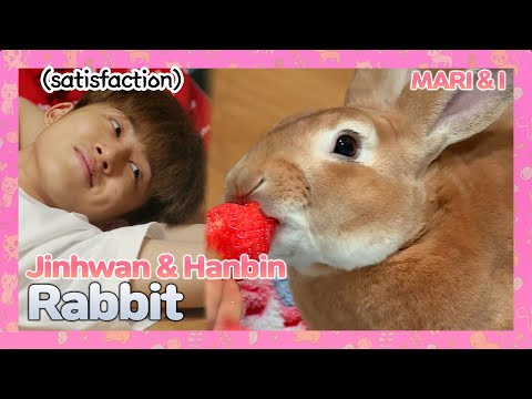 iKON Jinhwan & Hanbin with cute Rabbit🐇❣