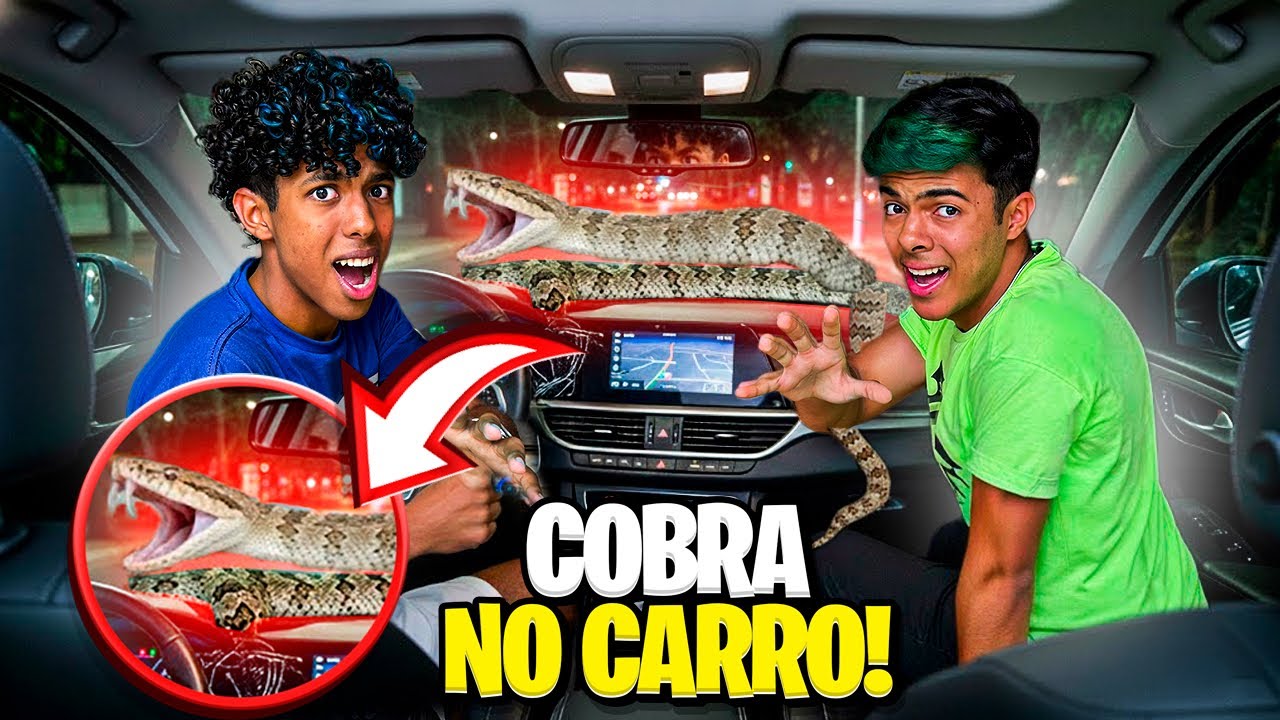 ENCONTRAMOS UMA COBRA NO CARRO!! *o Estevão foi picado*😨