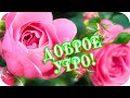 Доброе утро! ❤️Пусть будет теплым этот день! ❤️Будьте здоровы и счастливы!❤️