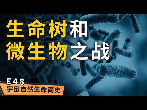 我方溃败 丨 微生物有多强大?本期为你揭晓