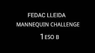 MANNEQUIN CHALLENGE 1r ESO B