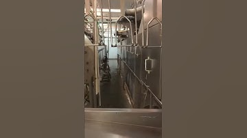 Complete Meyn slaughter line pt2