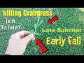Killing Crabgrass late Summer Early Fall, plus Quinclorac 75 DF Ugly lawn fix
