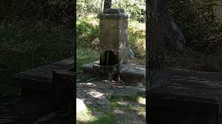 Fuente del Brezal, Sierra Norte de Madrid, España, Bustarviejo.