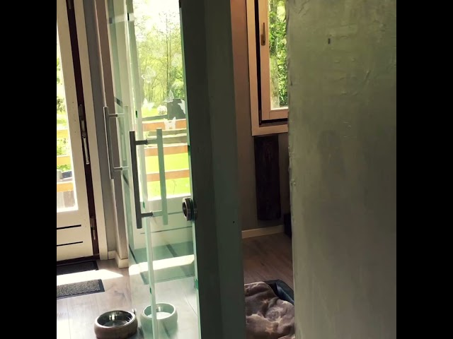 Traumhaftes Eifel Ferienhaus mit Hund: Ihr perfekter Urlaub! 3 sddefault