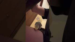 Death By A Thousand Preens