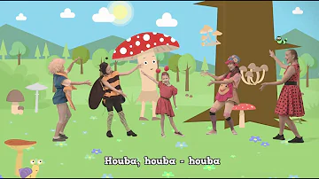 Kdo je vůbec největší houba světa?
