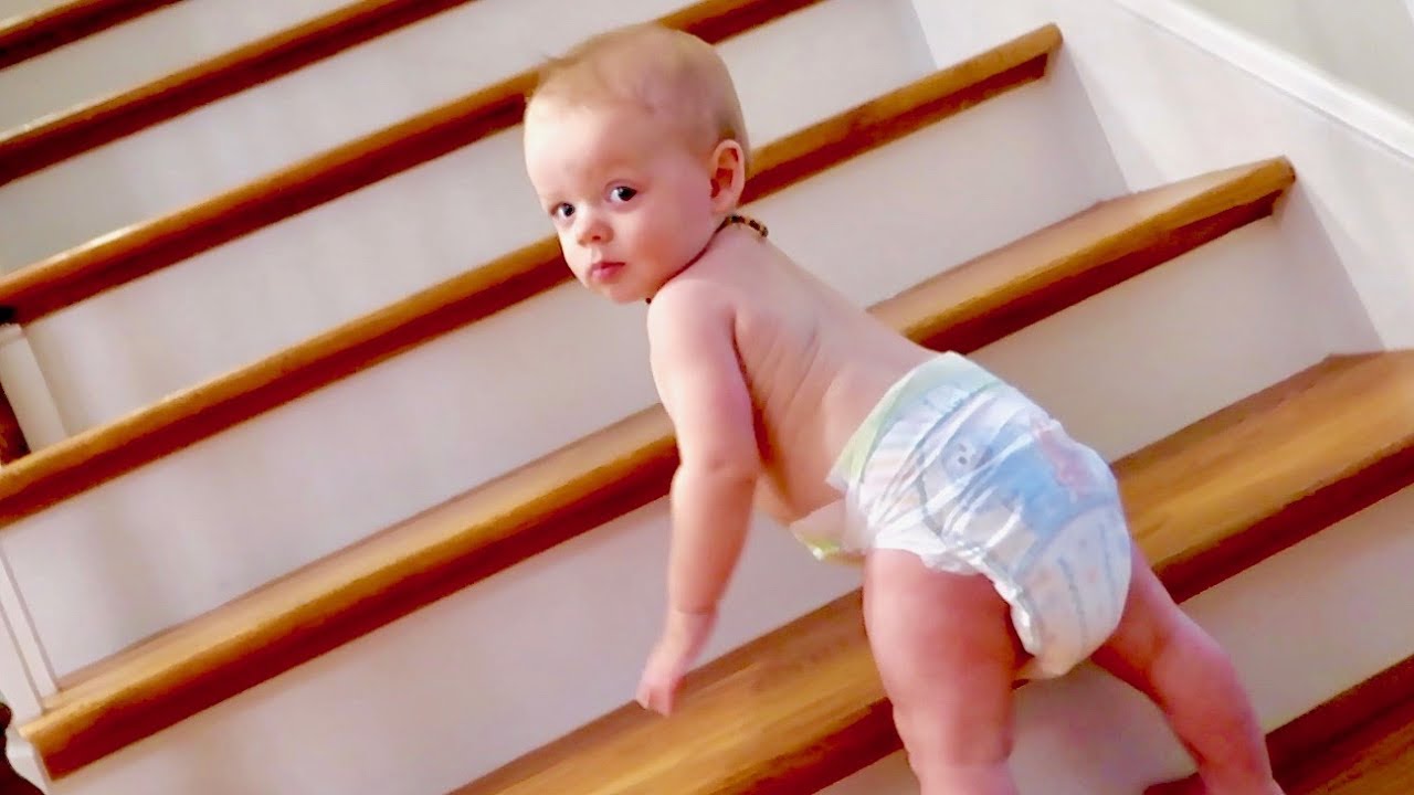 when do babies climb stairs