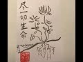 Symbiosis and the Life of All Beings: Shohaku Okumura on Opening the Hand of Thought (#229)